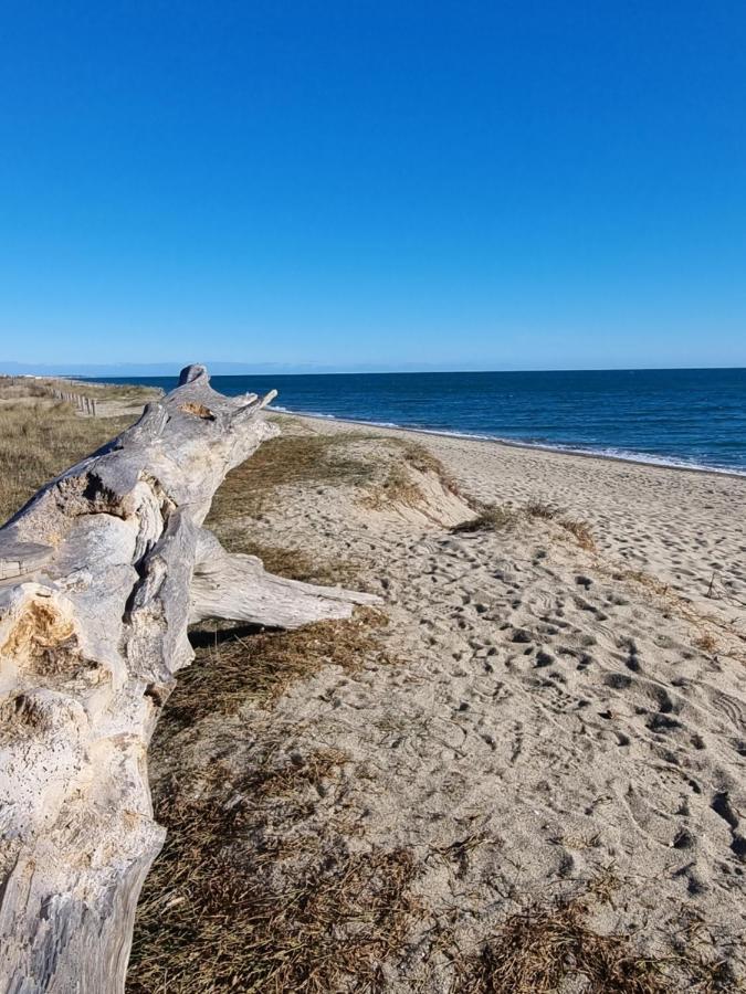 Plage: Atypique Bord De Mediterranee Torreilles