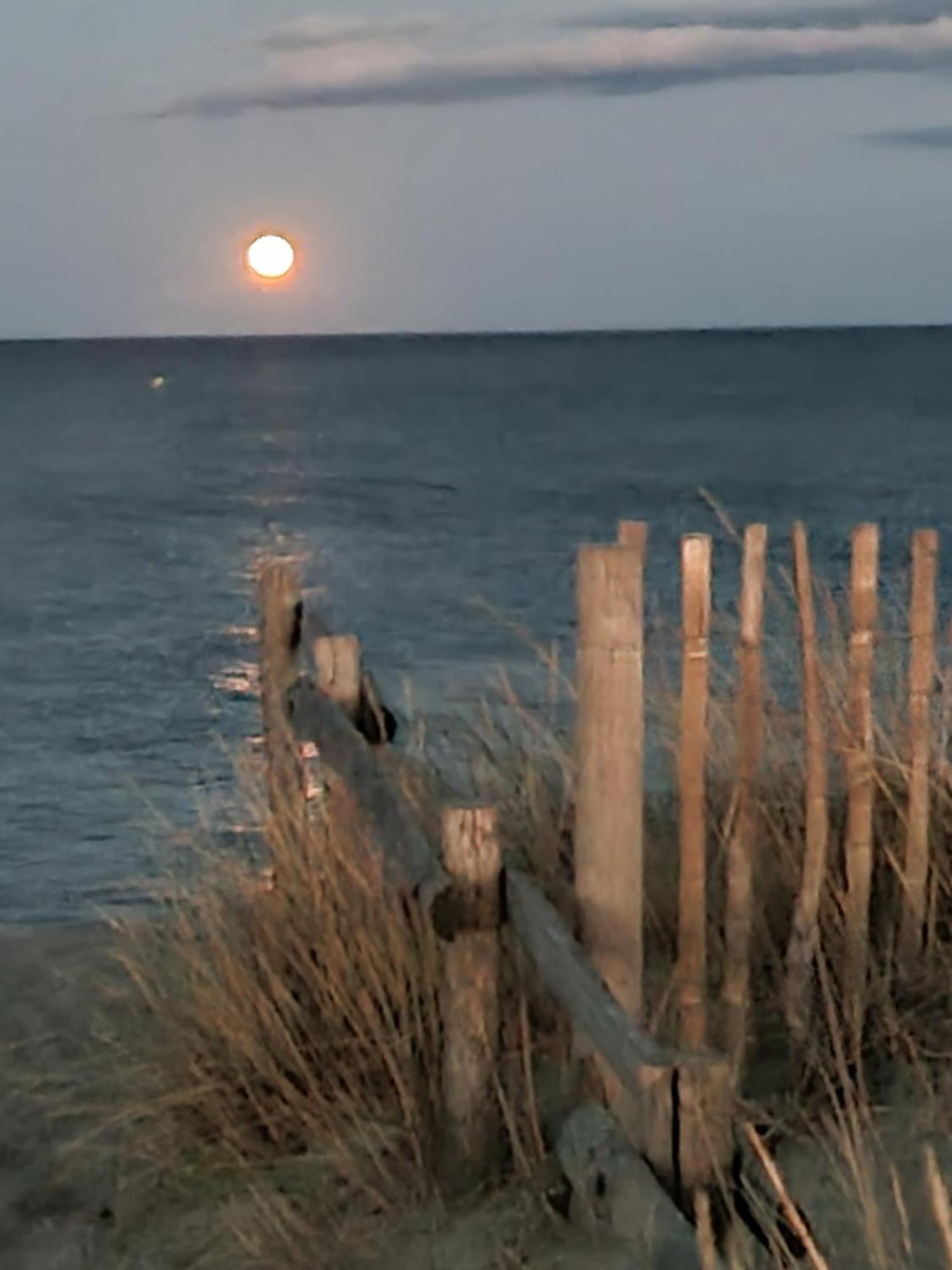 Plage: Atypique Bord De Mediterranee Ferienhaus