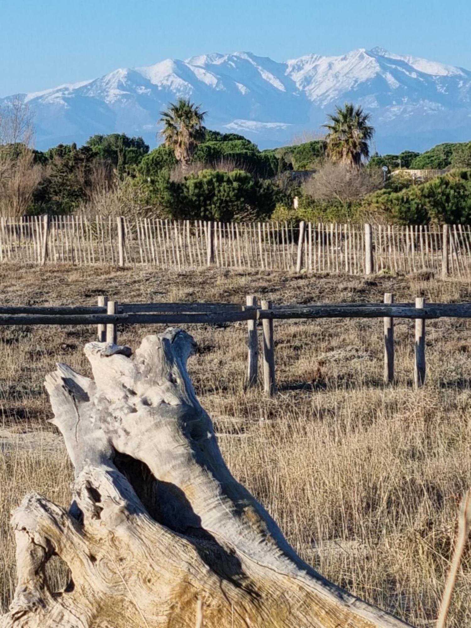 Plage: Atypique Bord De Mediterranee Ferienhaus